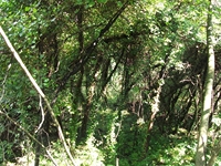 rco Cosentini-20110417 055